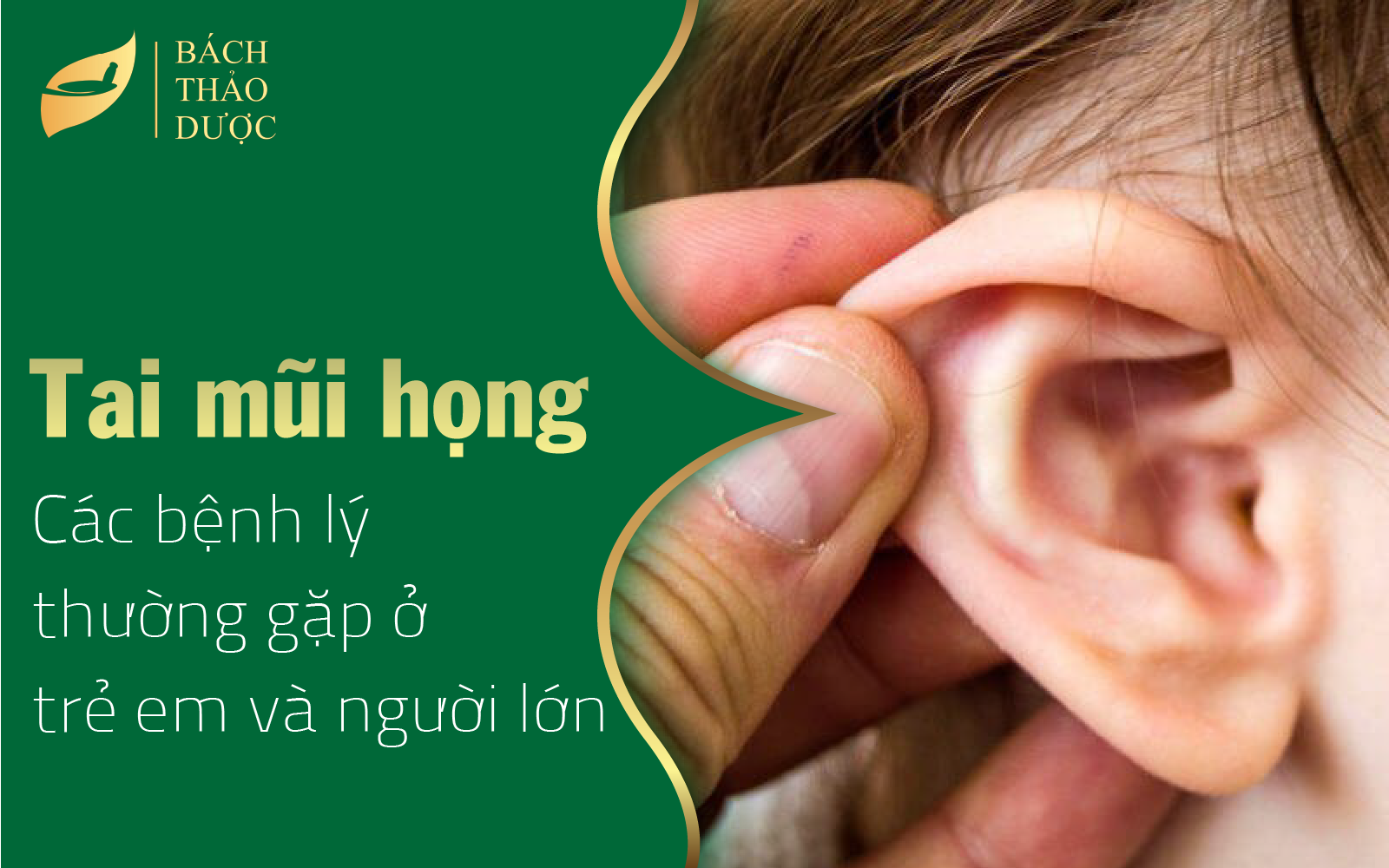 Các bệnh lý tai mũi họng thường gặp ở trẻ em và người lớn