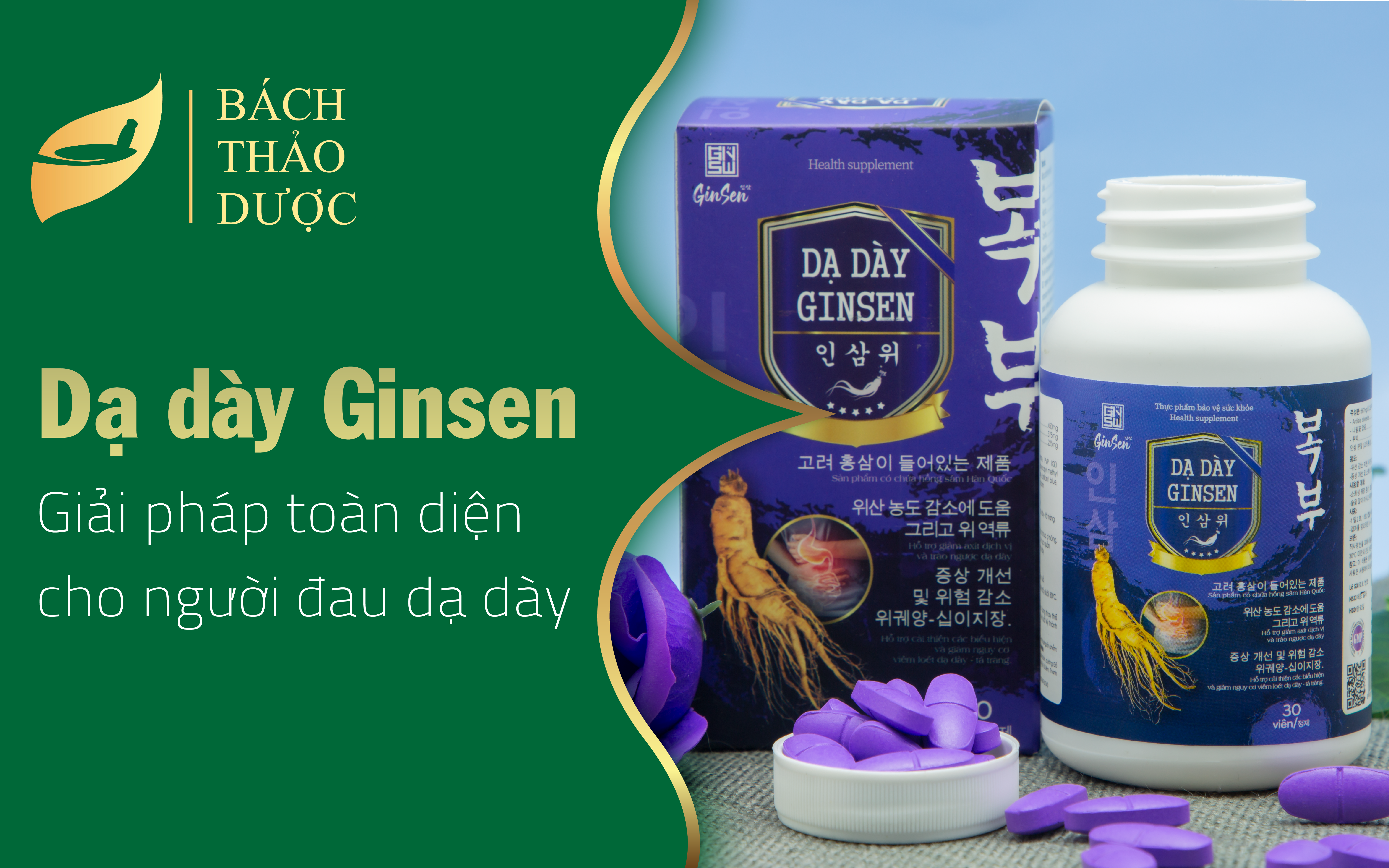 Dạ dày Ginsen - Giải pháp toàn diện cho người đau dạ dày